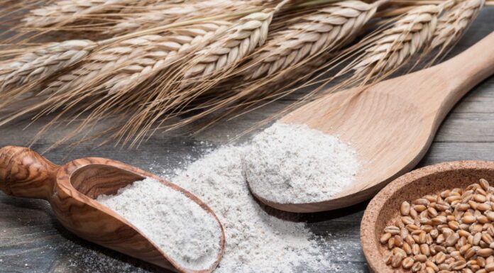 Промисловий сегмент: млин промисловий для виробництва — потужність, продуктивність, сервіс